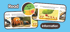 Toddlers Insects 2+ Screenshot 3