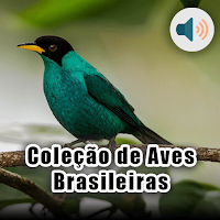 Coleção de Aves Brasileiras