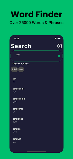 Arabic Dictionary English عربي Screenshot 2