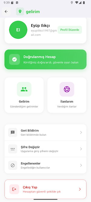 Gelirim Screenshot 2