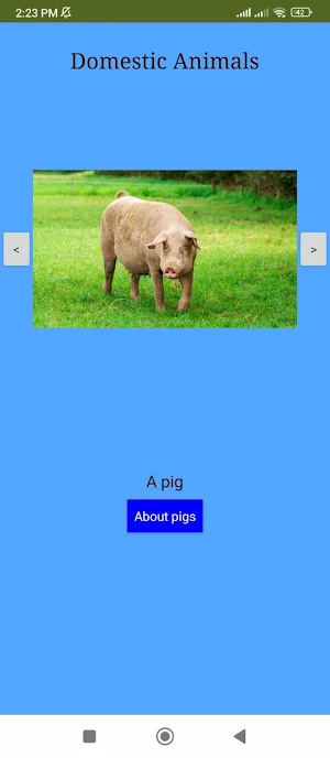 Domestic Animals Screenshot 3