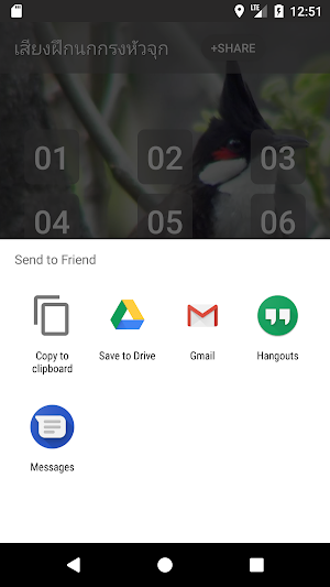 Red-whiskered bulbul Song Screenshot 3