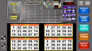 Video Bingo Mega Ball Flex Screenshot 0