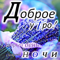 Доброе утро, Добрый день, Доброй ночи