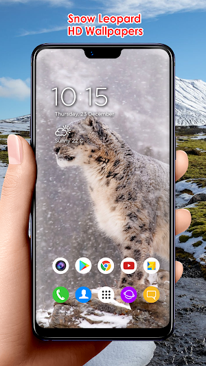 Snow Leopard HD Wallpapers Screenshot 3