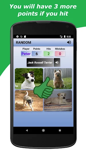 Dogs Game Screenshot 2