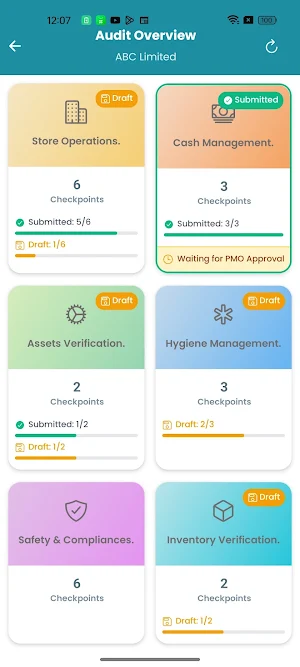 Protiviti Audit Screenshot 3