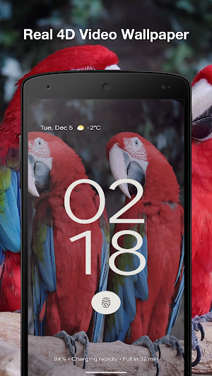 Tropical Birds Live Wallpaper Screenshot 2