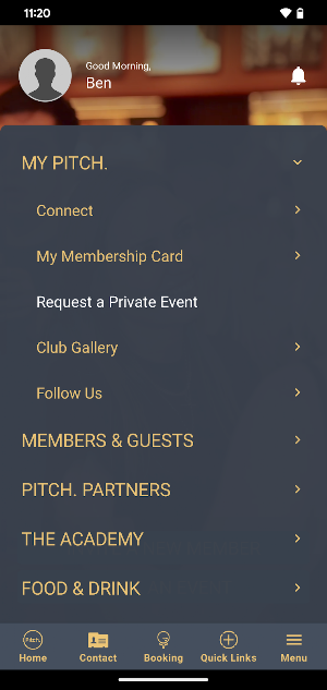 Pitch. Dublin Screenshot 1