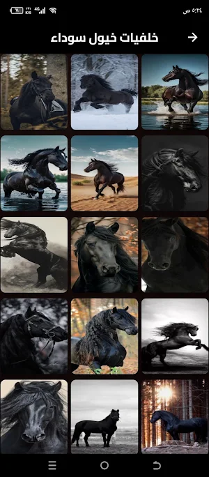 خلفيات خيول فخمة Screenshot 1