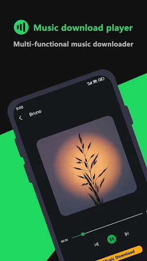 TubeCatcher：MP3 Music Download Screenshot 2