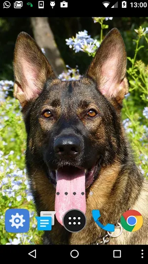 guard dog wallpaper Screenshot 1