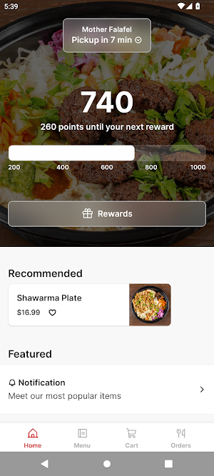 Mother Falafel Screenshot 0