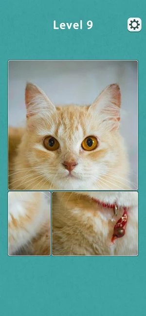 Jigsaw Card Puzzle Screenshot 1