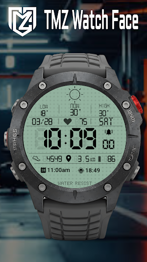 Retro Digital Watch Face TMZ Screenshot 0