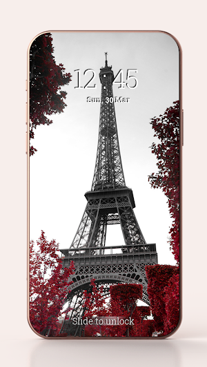 Eiffel Tower Pin Lock Screen Screenshot 2