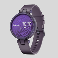 Garmin Lily guide
