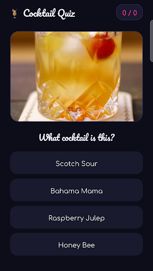 The Cocktail Shaker: Recipes Screenshot 2