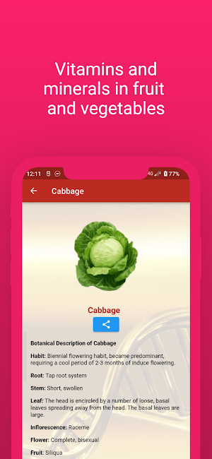 Vitamins in Fruit & Vegetables Screenshot 3