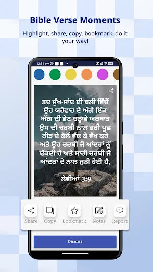 Punjabi IRV Screenshot 1