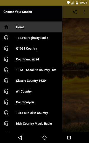 USA Country Radio - Southern USA Music Screenshot 1