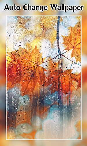Auto Change Wallpaper Screenshot 2