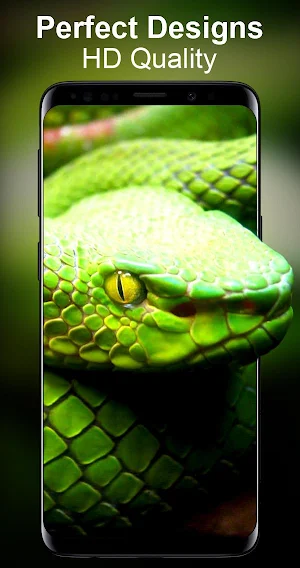 Live Wallpapers Unlimited Screenshot 1