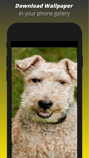 Dog Wallpaper HD Screenshot 2