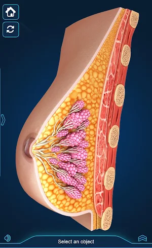 Breast Anatomy Pro. Screenshot 1