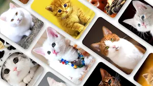 Cat Wallpaper 2024 Screenshot 0