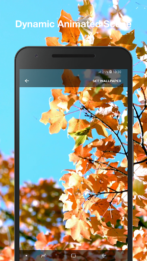 Falling Leaves Live Wallpaper Screenshot 1