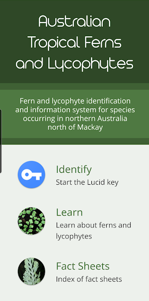 Australian Tropical Ferns Screenshot 0
