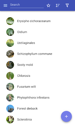 Plant diseases Screenshot 0
