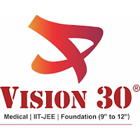 Vision 30