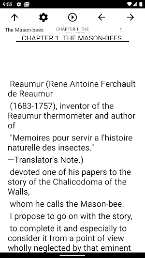 Book, The Mason-bees Screenshot 1
