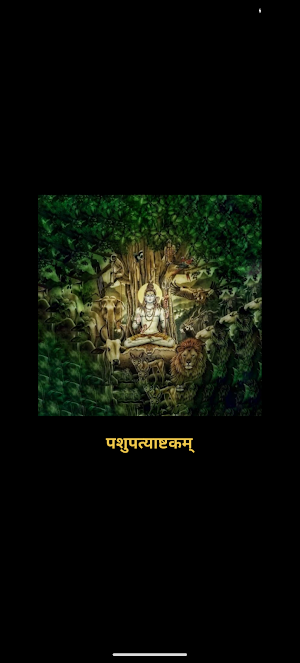 Pashupatya Ashtakam With Audio Screenshot 0