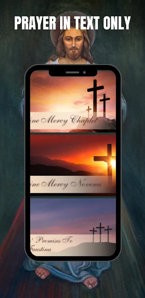 Divine Mercy Prayer Screenshot 1