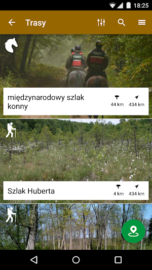Puszcza Gorzowska Screenshot 2