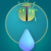 Hydrophilus Quiz: Beetle
