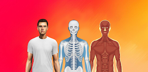 Body Scanner - Xray Scanner Screenshot 2