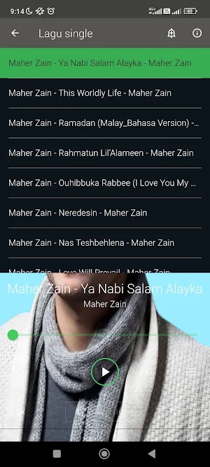 Maher Zain Mp3 offline Screenshot 2