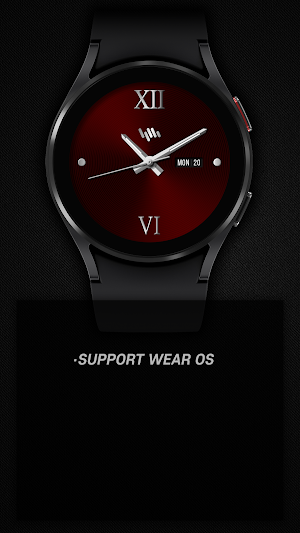 SamWatch Classic O Screenshot 1
