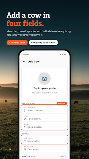 BovineFlow - Cattle Heat Cycle Screenshot 3