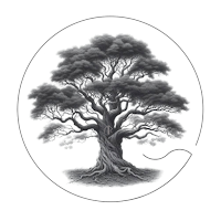 Njord Pilates Studio