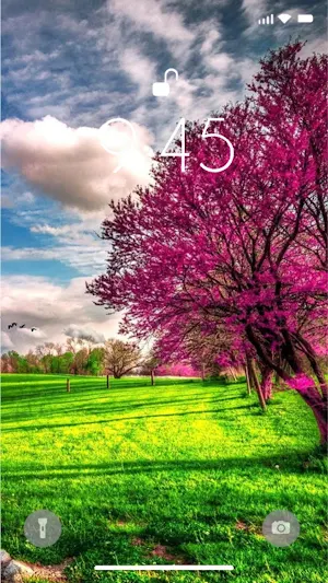 Nature 4K Wallpapers Screenshot 3