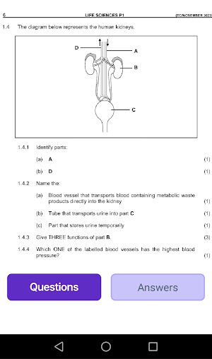 Grade 11 Life Sciences Screenshot 3