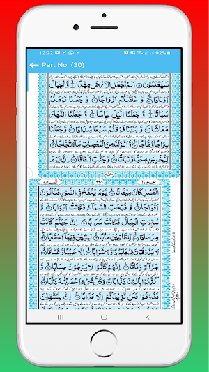 Holy Quran Urdu Screenshot 0