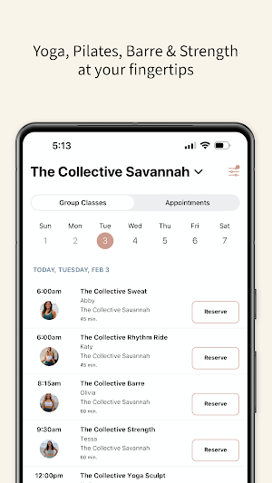 The Collective Savannah Screenshot 2