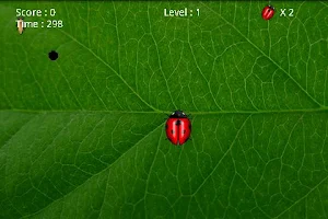 Save The Beetle Screenshot 3