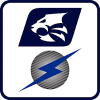 Grupo Tiger